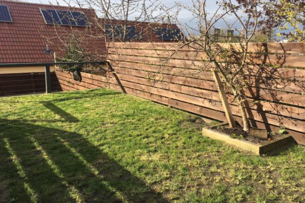 WhatsApp Image 2020-03-30 at 17.12.57